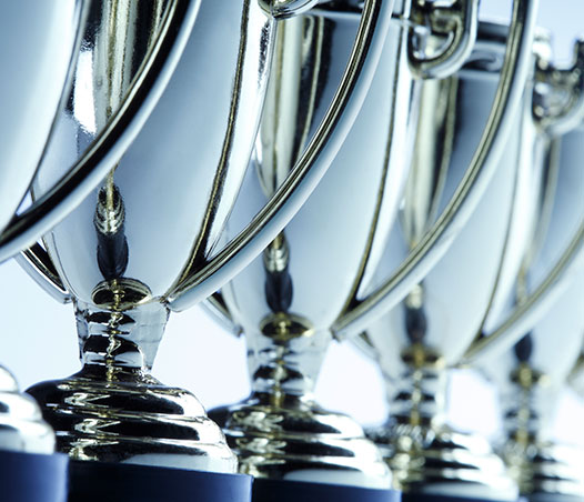 Promotional Products and Awards Industry